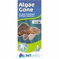 NT LABS ALGAE GONE 100ML